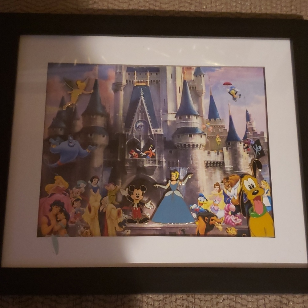 Disney Magic Kingdom Collectible Pin Frame